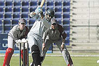 Emirates T20 Cricket